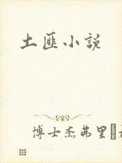 土匪小说