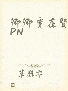 卿卿实在贤良NPN