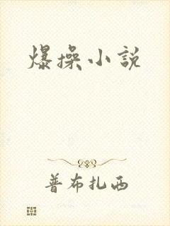 爆操小说