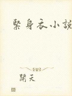 紧身衣小说