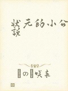 状元的小公主小说