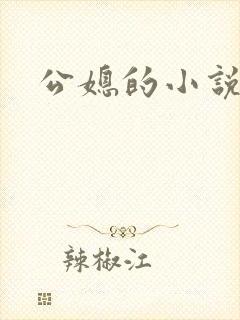 公媳的小说封面