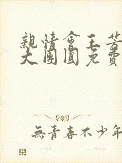 亲情会王芳高敏大团圆免费阅读