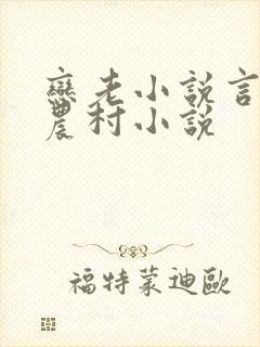 恋老小说言情网农村小说