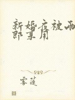 新婚夜被两个伴郎享用封面