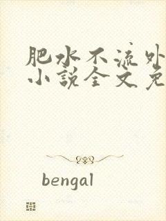 肥水不流外人田小说全文免费阅读1