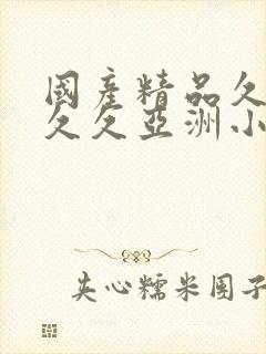 国产精品久久久久久亚洲小说