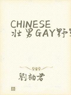 CHINESE壮男GAY野战强迫TUBE封面
