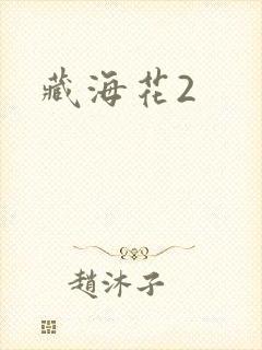 藏海花2