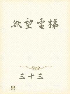 《欲望电梯》小说封面