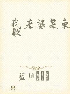 我老婆是东方不败封面