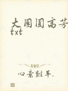 大团圆高芳小说txt