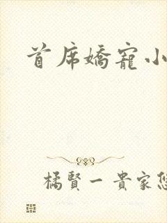 首席娇宠小情人