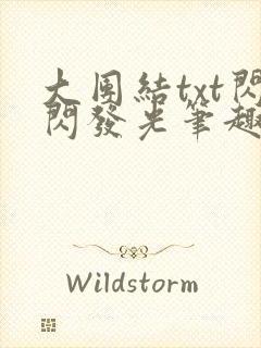 大团结txt闪闪发光笔趣阁