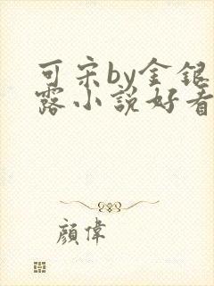 可宋by金银花露小说好看吗