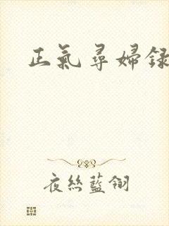 正气寻妇录