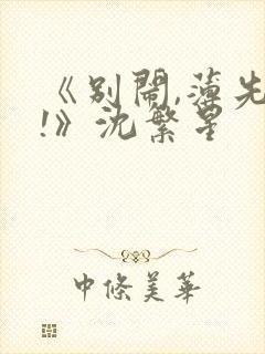 《别闹,薄先生!》沈繁星