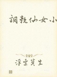 调教仙女小说封面