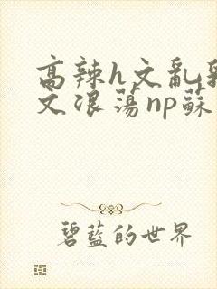 高辣h文乱乳h文浪荡np苏夏