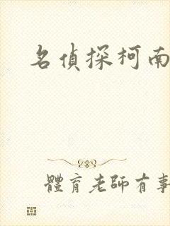 名侦探柯南h封面