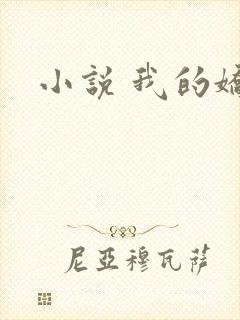 小说 我的娇妻