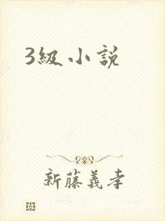 3级小说