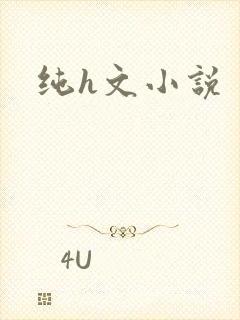 纯h文小说