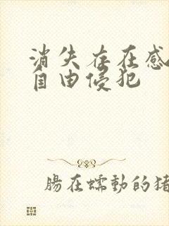 消失存在感消失自由侵犯