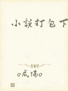 小说打包下载