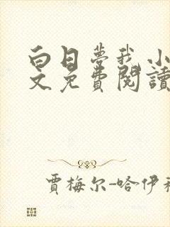 白日梦我小说全文免费阅读