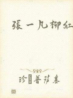 张一凡柳红