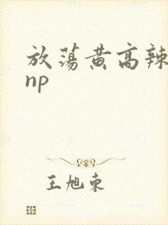 放荡黄高辣h文np