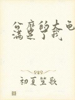 公么的大龟强大满足了我