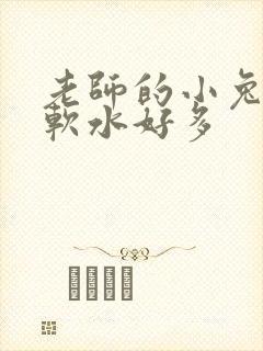 老师的小兔子好软水好多
