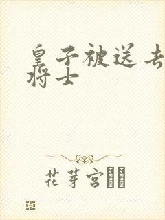 皇子被送去犒劳将士