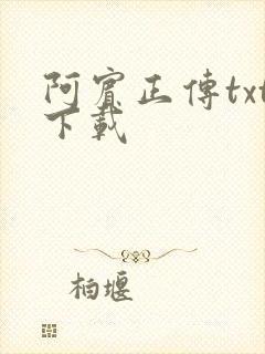 阿宾正传txt下载