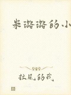 米璐璐的小说