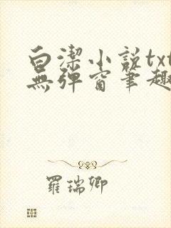 白洁小说txt无弹窗笔趣阁