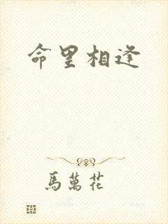 命里相逢