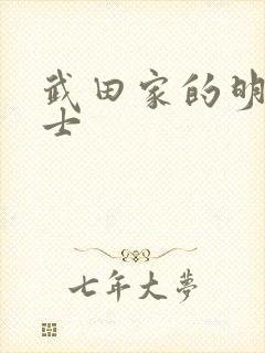 武田家的明国武士