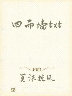 四面墙txt
