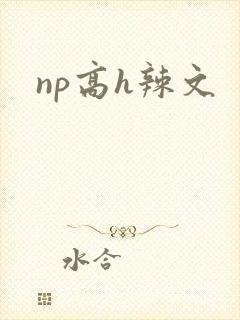 np高h辣文