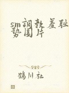 sm调教羞耻姿势图片