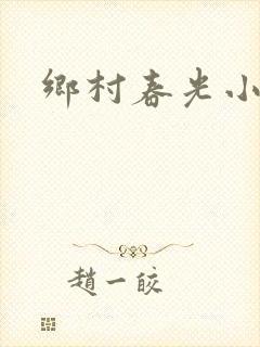 乡村春光小说