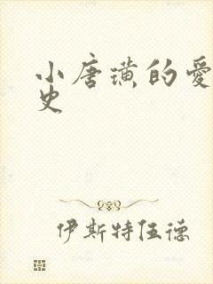 小唐璜的爱情历史