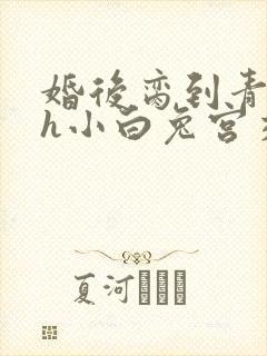 婚后脔到青梅哭h小白兔宫交h