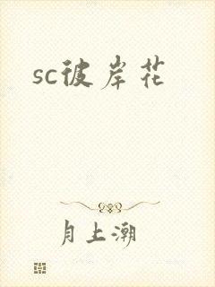 sc彼岸花