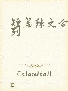 短篇辣文合集系列