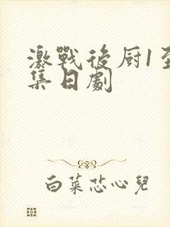 激战后厨1至5集日剧