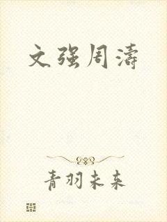 文强周涛